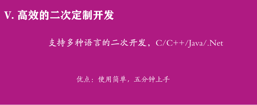 V. 高效的二次定制开发
支持多种语言的二次开发，C/C++/Java/.Net
优点：使用简单，五分钟上手